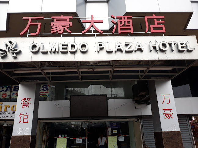 Olmedo Plaza Hotel - Hotel