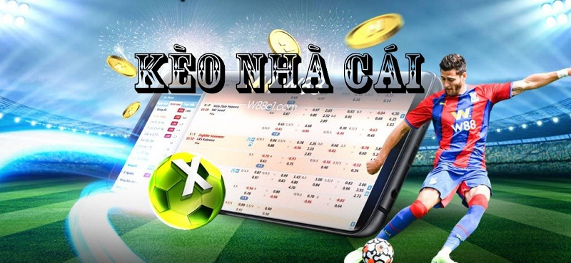 TQ - Soi kèo bóng đá, soi kèo nhà cái uy tín tại đây | Forum Mua bán - Diễn đàn Rao vặt Miễn phí, Đăng ký dễ dàng!