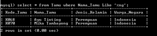 C:\Users\Aras\Documents\Tugas semester 1\Basis data\Tugas besar\7 Like, Order by, Grup By, Asc, Des\Like\Tamu\Like 25.PNG