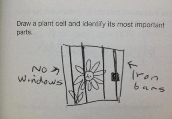 brilliant-kids-test-answers-7.jpg
