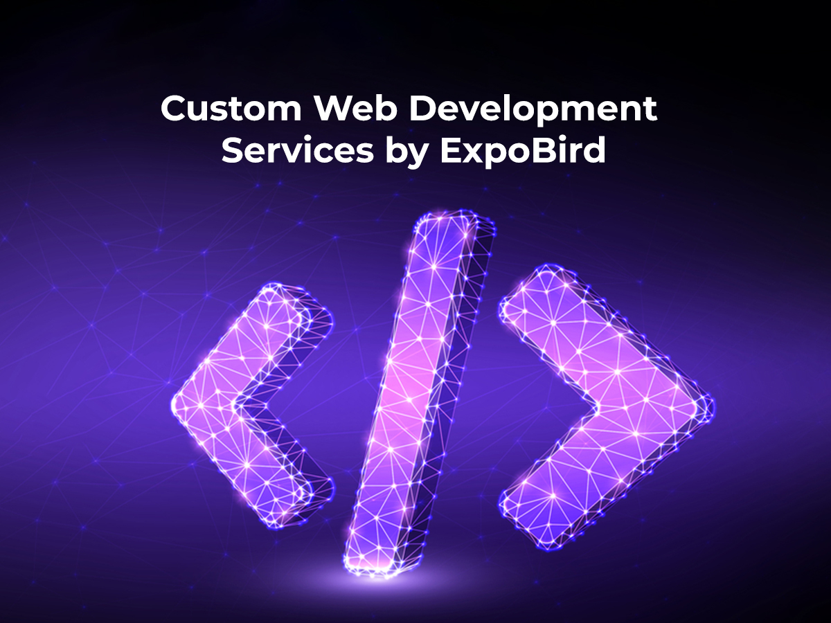 Custom web development services, custom development services in Pakistan, custom web development services in Pakistan, Web development services, Website development services, Web development services in Pakistan