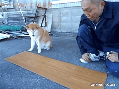 Hombre haciendo bricolaje con su perro