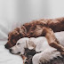 Friendship Wallpaper for iPhone and Android