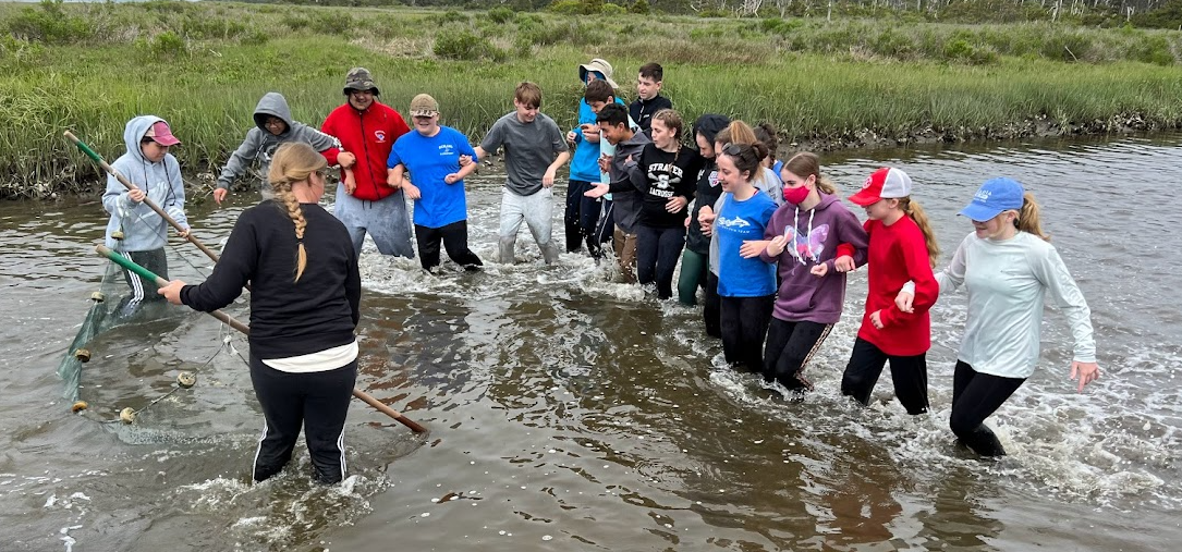 Students arm-in-arm in the water observing marine life
