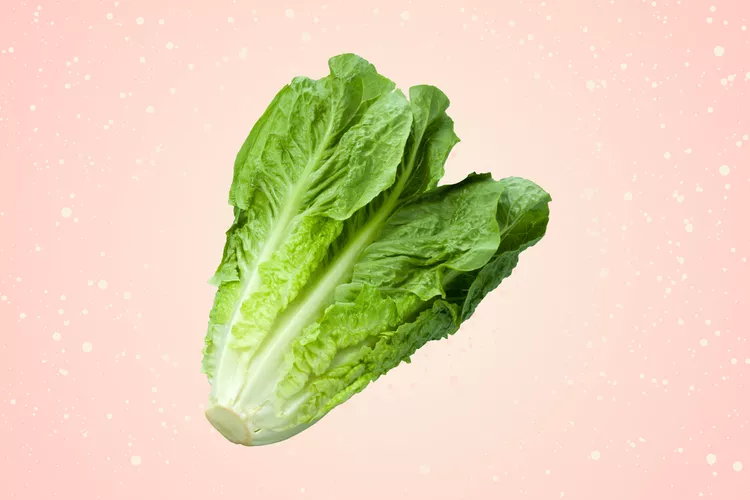 ¿Es seguro comer lechuga romana?