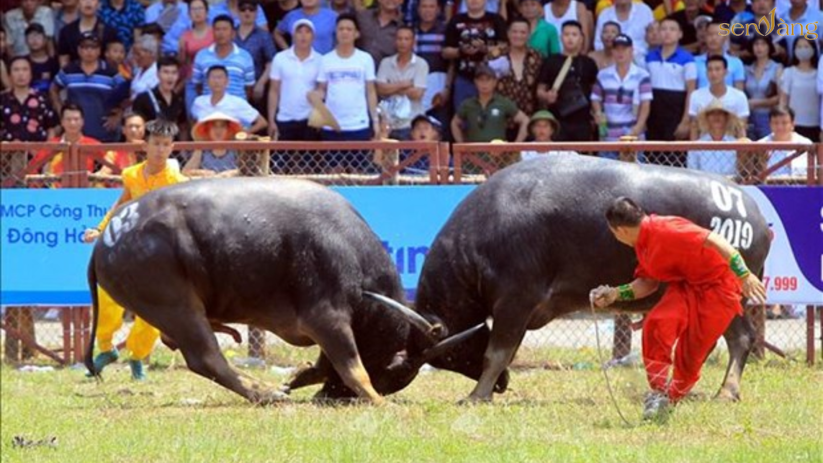 TỔNG QUAN THÀNH PHỐ HẢI PHÒNG