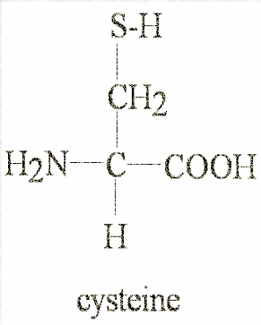 http://course1.winona.edu/sberg/ChemStructures/Cysteine.gif