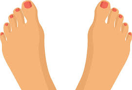 Image result for toes clipart