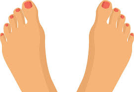 Image result for toes clipart