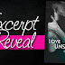 EXCERPT REVEAL : Love Unspoken by Lisa DeJong