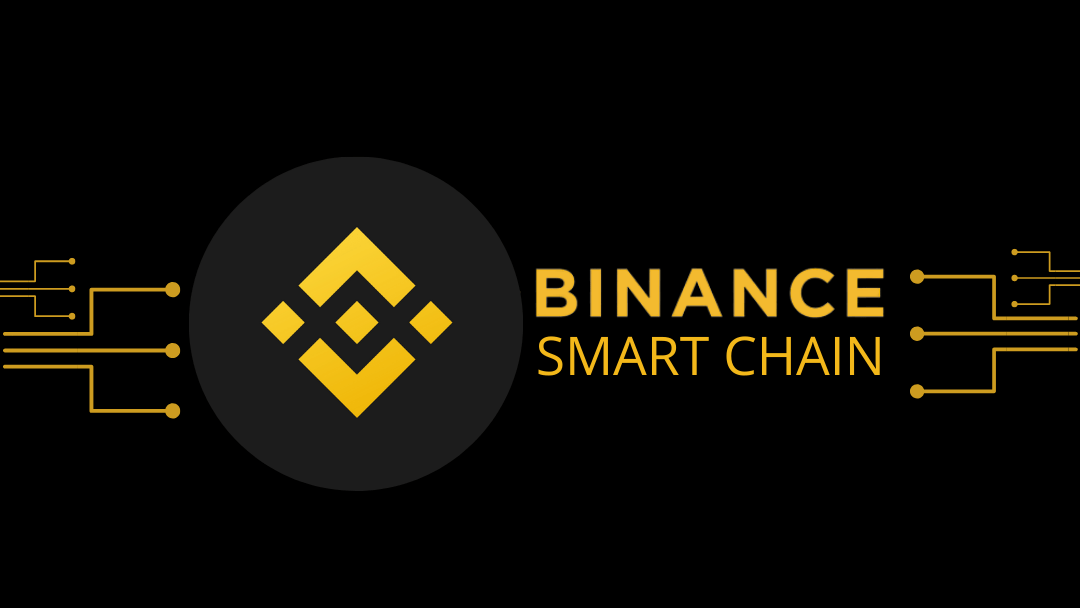 Binance Smart Chain (BSC -101)