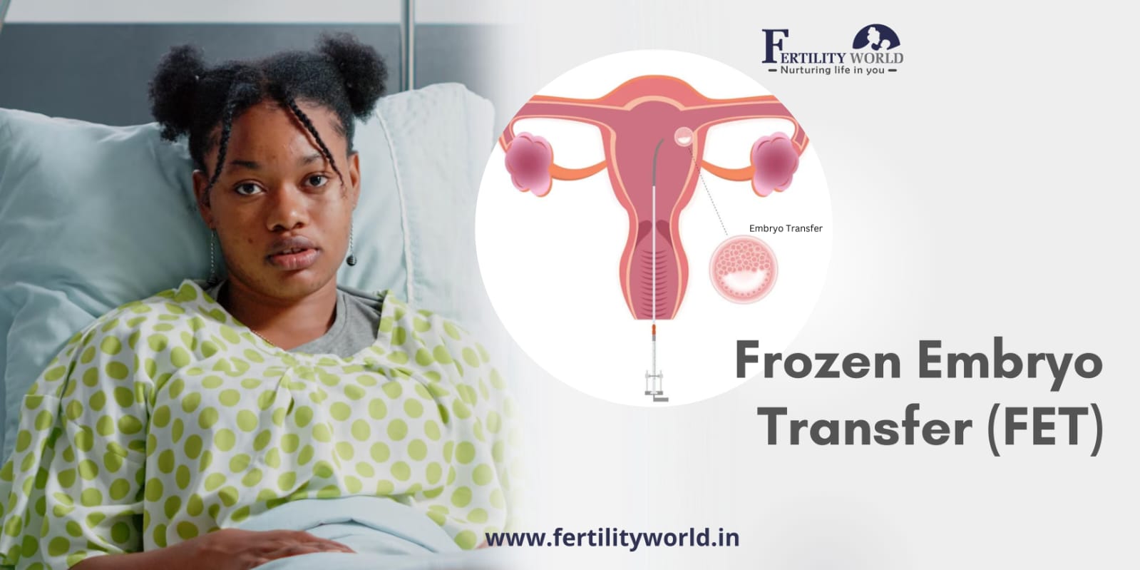 Cost of Frozen Embryo Transfer (FET)