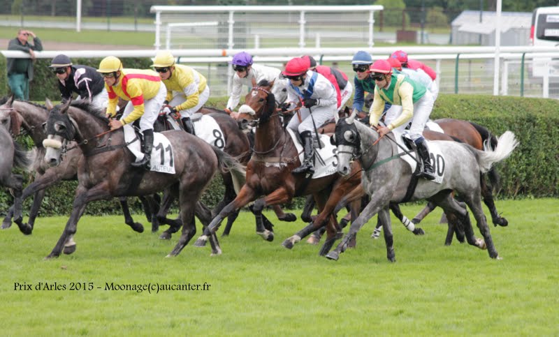 Photos Auteuil 16-05-2015 Week-end printanier de l'obstacle 8_rF2Oyx8OSM8vKi84kCT9VJhp_hbgWcxzOynoXe9HPQ=w800-h483-no