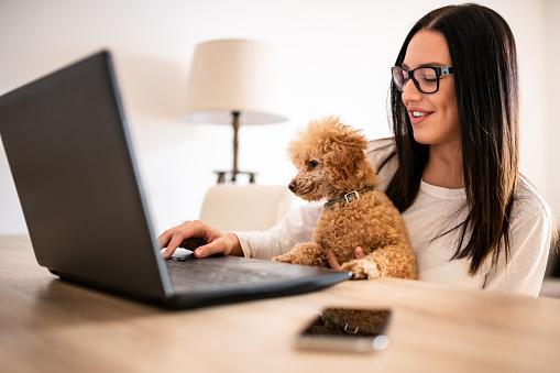 https://media.istockphoto.com/id/1217035387/photo/young-woman-sitting-at-the-desk-at-her-home-working-on-the-laptop-while-her-puppy-pet-sits-on.jpg?b=1&s=170667a&w=0&k=20&c=WS0aZvyhtIQYVKz8wXiUJaJ14VLGWFjw60TY7cnc8_Y=