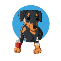 dog holding innovet product