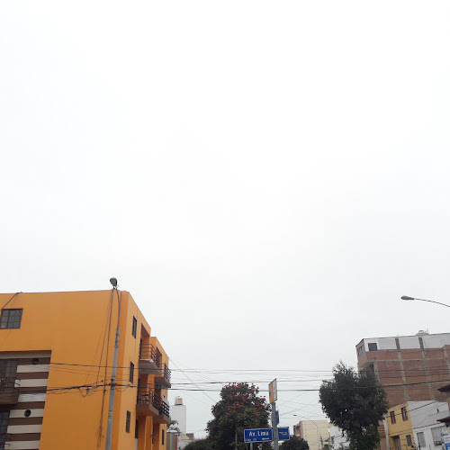 Arquea