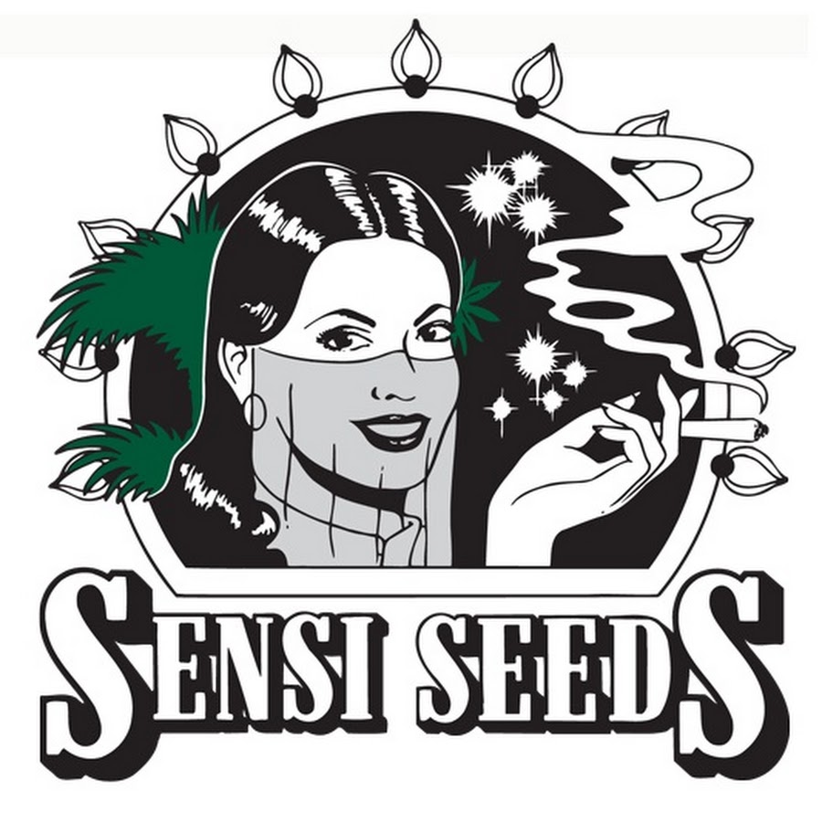 รีวิว Sensi Seeds 2