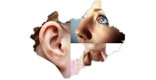 Image result for ear nose and throat specialist
