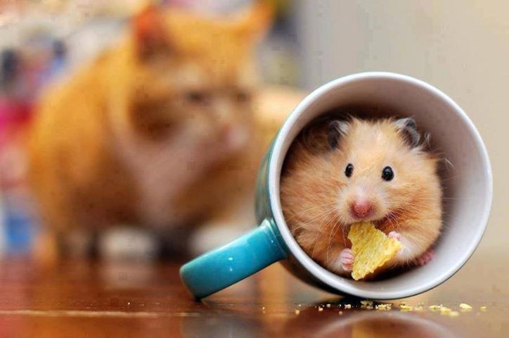 Image result for writing prompt pictures