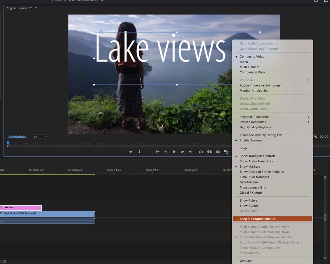 Snap in program monitor