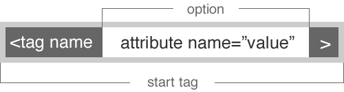 Option.png