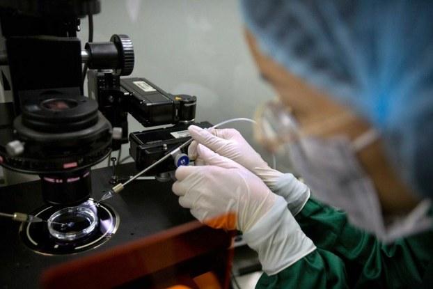 国科研人员在贺建奎的实验室做研究(AP)