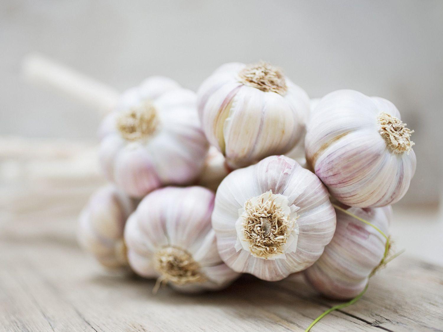 6 Powerful Health Benefits of Garlic