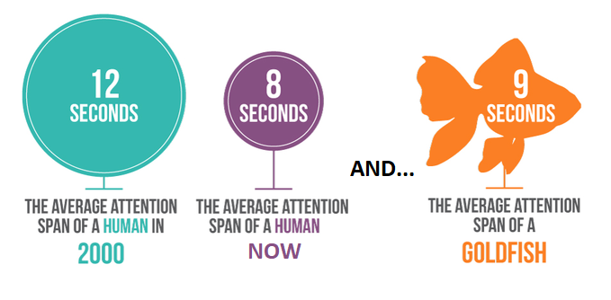An infographic showing that our attention span has dwindled from 12 seconds in 2000 to currently 8 seconds.  Oh and that  we have a smaller attention span than a goldfish.