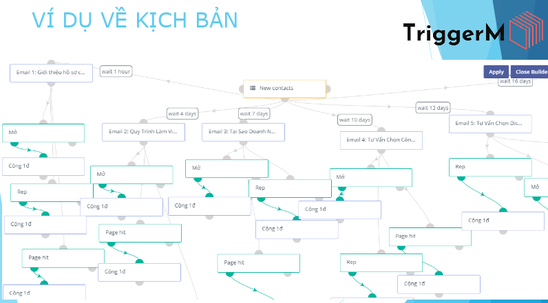 Triển khai Marketing Automation "SƯỚNG" như thế nào?