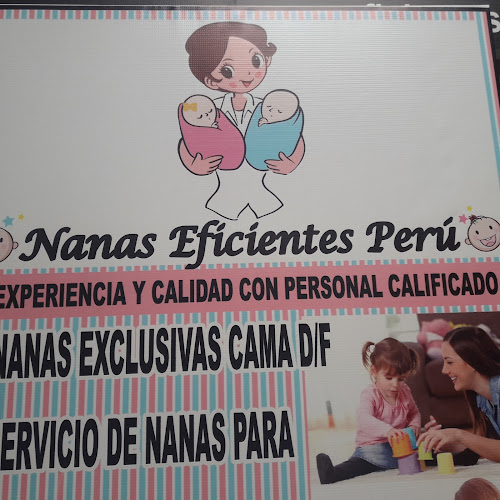 Opiniones de Nanas Eficientes Perú en Ate - Guardería