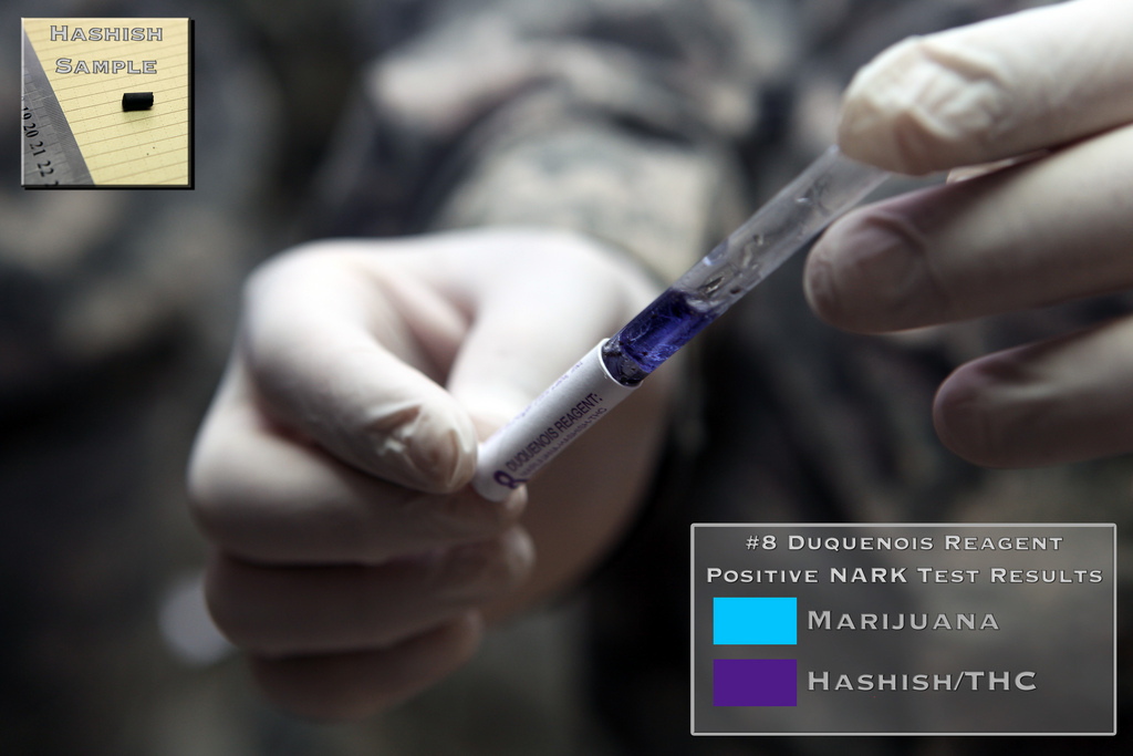 ... Hashish Presumptive Drug ...