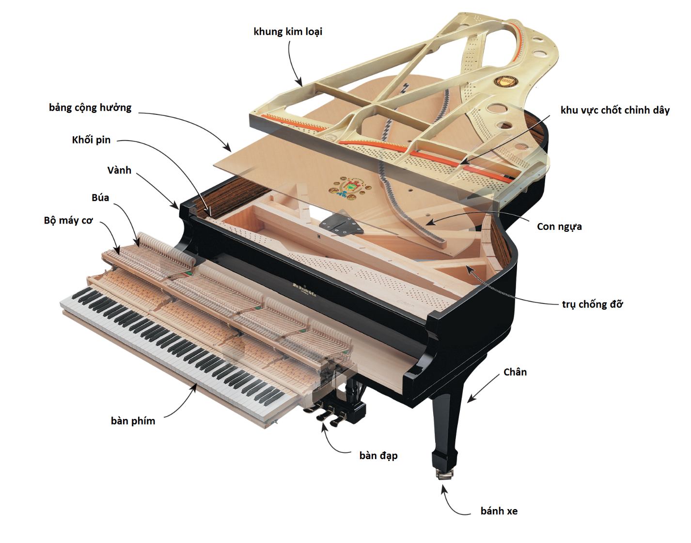 Cấu tạo đàn piano phức tạp nên mất nhiều thời gian để sản xuất hoàn thiện nên giá tiền đàn piano thường cao