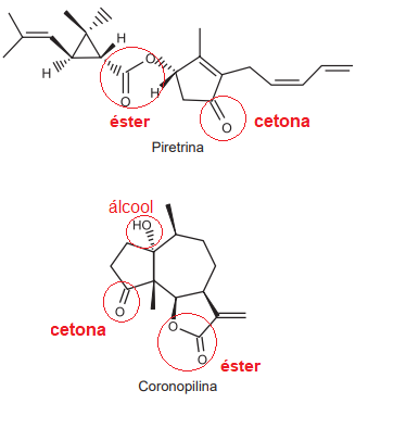 indicação das funções orgânicas nas moléculas de biopesticidas: piretrina e coronopilina 

estão circuladas as funções éster e cetona na piretrina e álcool, cetona e éster na coronopilina