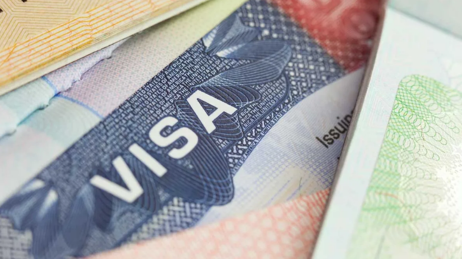 Шенгенская виза: куда подавать документы на визу 2022