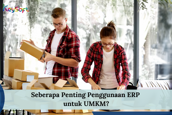 Penggunaan ERP untuk UMKM