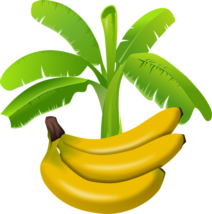 Free vector graphic: Africa, Banana, Exotic, Food - Free Image on ...