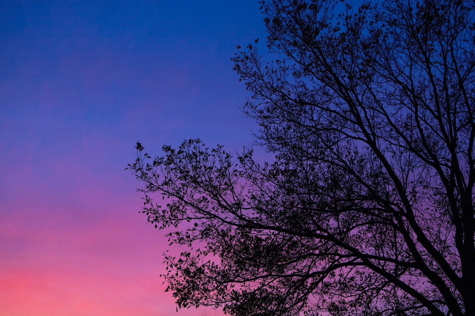 Paisagem da natureza em cores escuras, frias e intensas