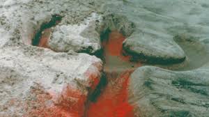 Image result for ana mendieta art