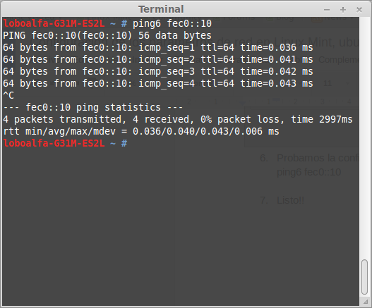 ping6.png