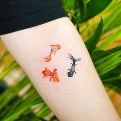 ลายสักปลาทองเล็กๆ8