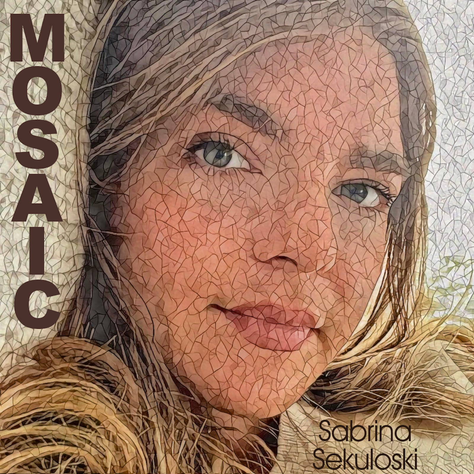 Sabrina Sekuloski "mosaic"