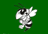 Hornet Logo.JPG