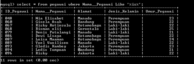 C:\Users\Aras\Documents\Tugas semester 1\Basis data\Tugas besar\7 Like, Order by, Grup By, Asc, Des\Like\Pegawai\Like 37.PNG