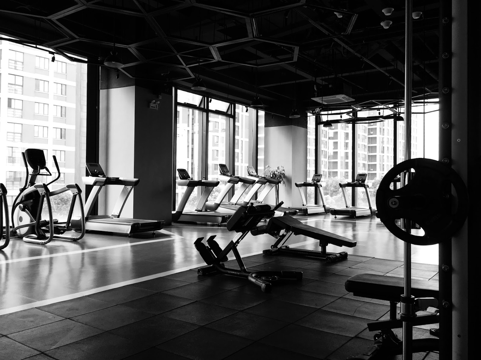 treadmills at gym