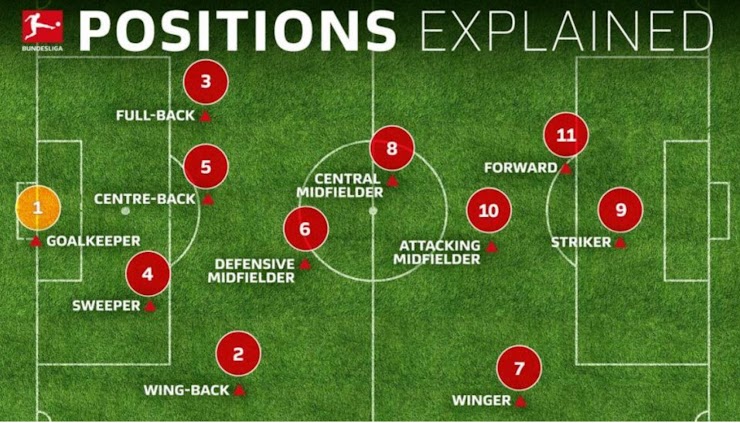 Read article and watch video https://www.bundesliga.com/en/bundesliga/news/soccer-positions-explained-names-numbers-what-they-do-2579-786
Task-pick your two favorite positions and write a short paragraph on their role and responsibilities. 
