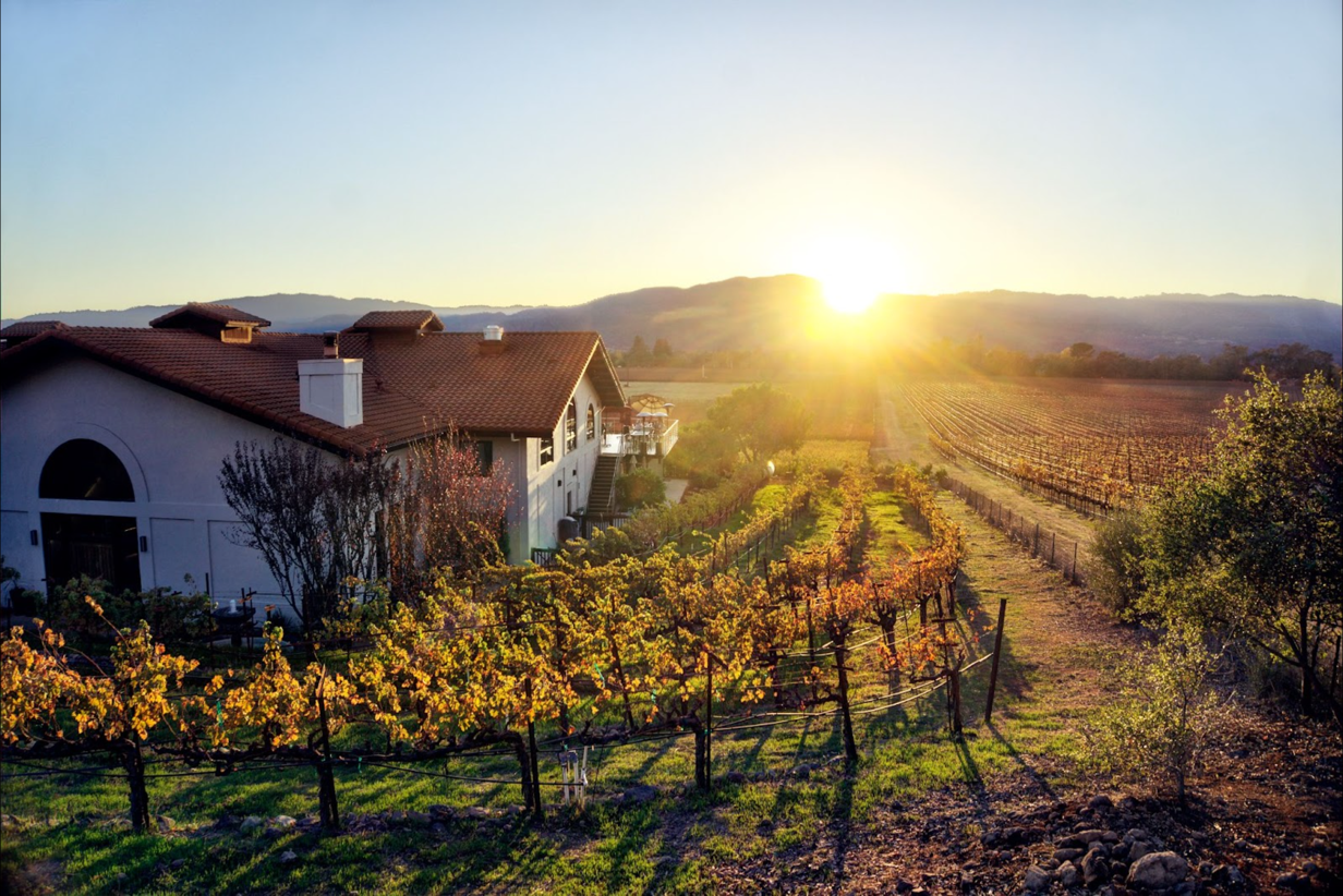 A picture containing outdoor, sky, vineyard, landscape</p>
<p>Description automatically generated