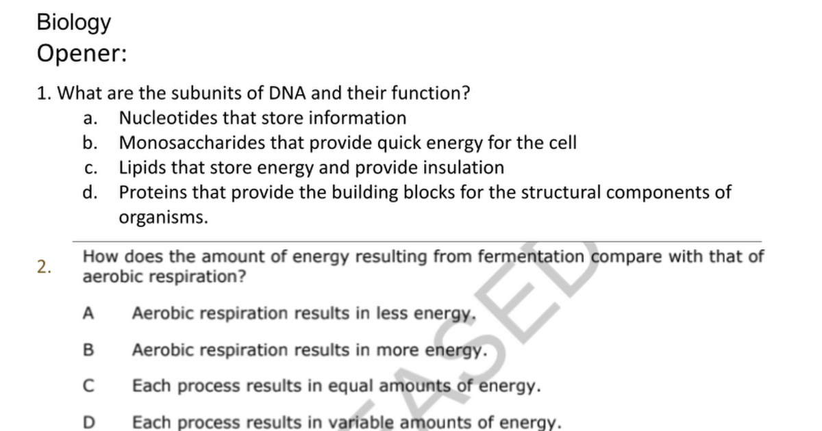 Molecular Genetics Notes, Mitosis, Day 4