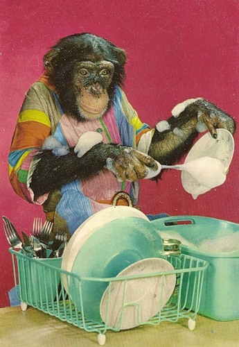 обезьянка-домохозяйка.jpg