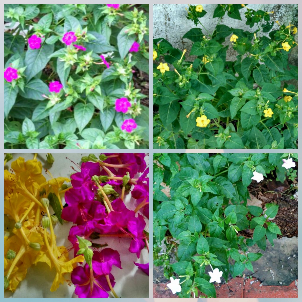 CYMERA_20170901_152837.jpg