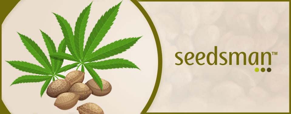 The Pros & Cons of Grinding Weed - WeedSeedShop
